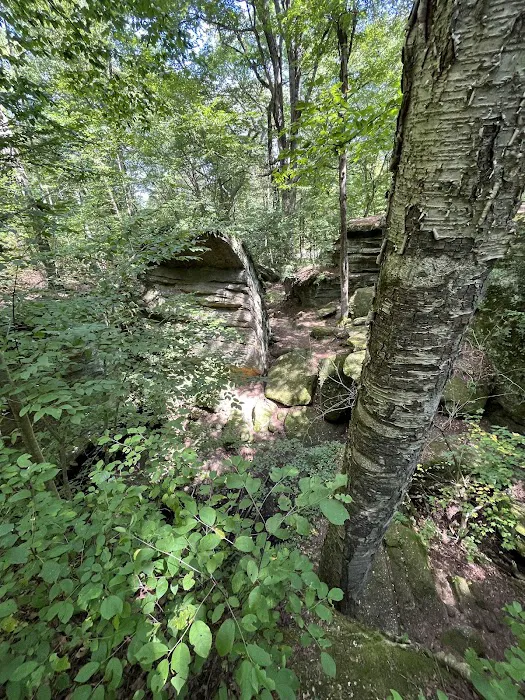 Nelson Ledge Estates Picture 6