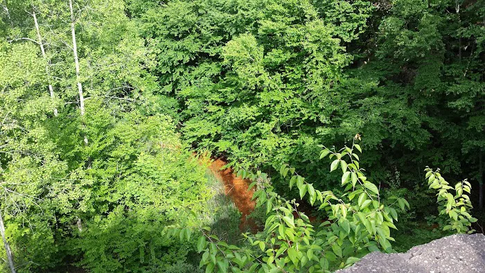 Nelson Ledge Estates Picture 1