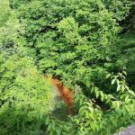 Nelson Ledge Estates