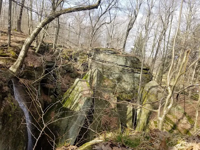 Nelson Ledge Estates Picture 9