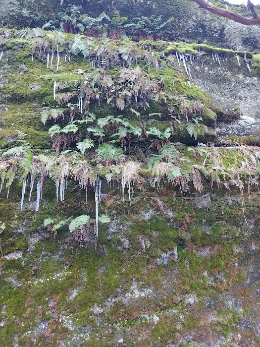 Nelson Ledge Estates Picture 5