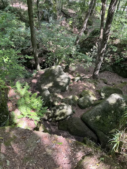 Nelson Ledge Estates Picture 4