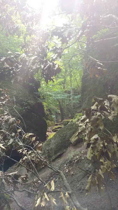 Nelson Ledge Estates Picture 8