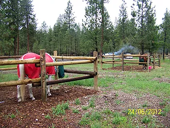 Equestrian Campground Picture 2