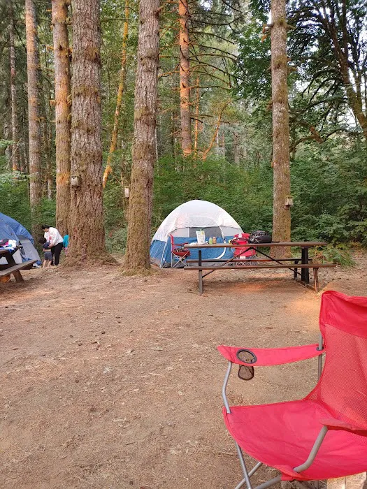 Camp Alpine Picture 4