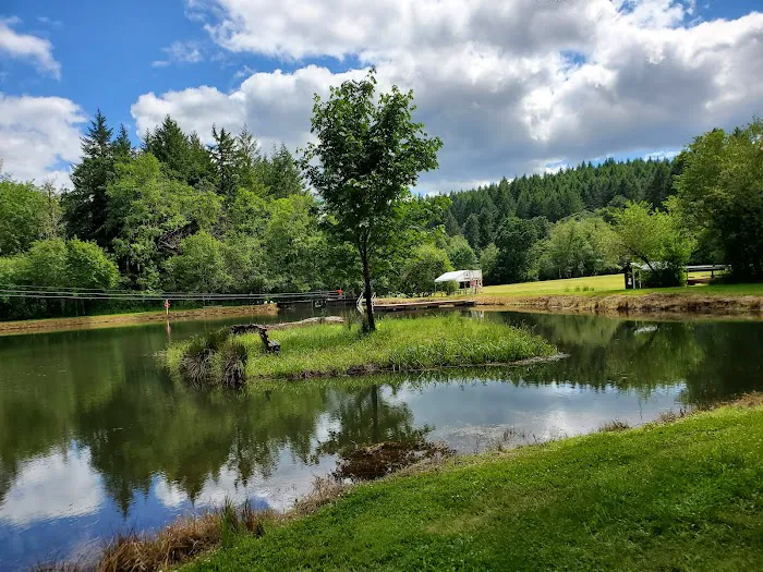 Camp Alpine Picture 5