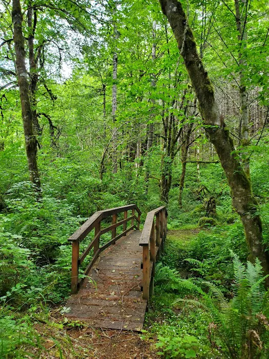 Camp Alpine Picture 9