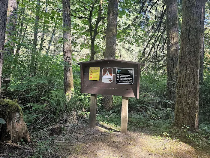 Alsea Falls Campground Picture 3