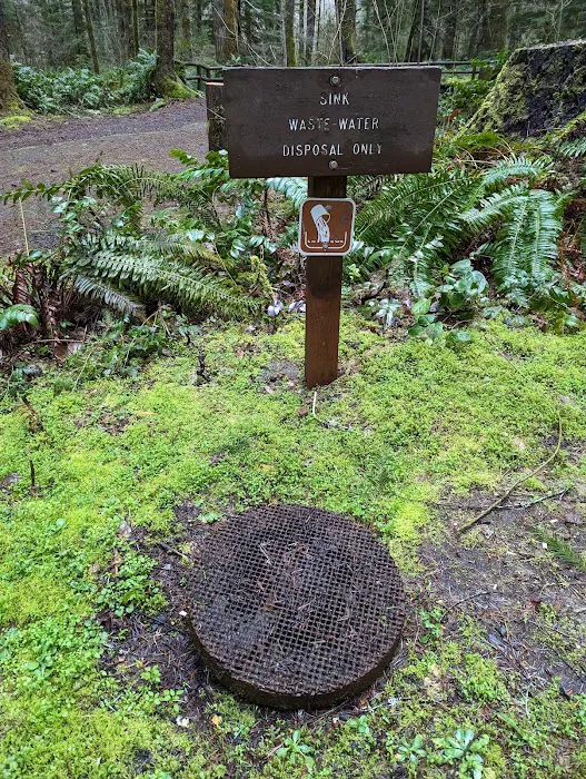 Alsea Falls Campground Picture 1