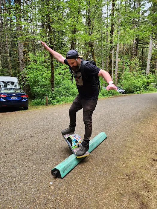 Alsea Falls Campground Picture 8