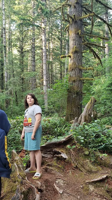 Alsea Falls Campground Picture 5