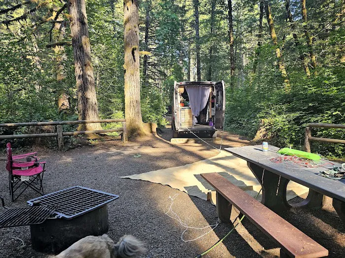 Alsea Falls Campground Picture 6
