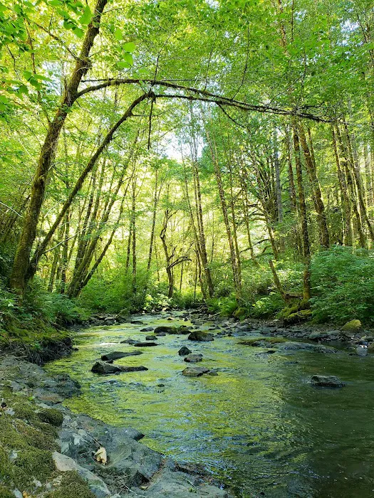 Hubert K McBee Memorial Campground Picture 3