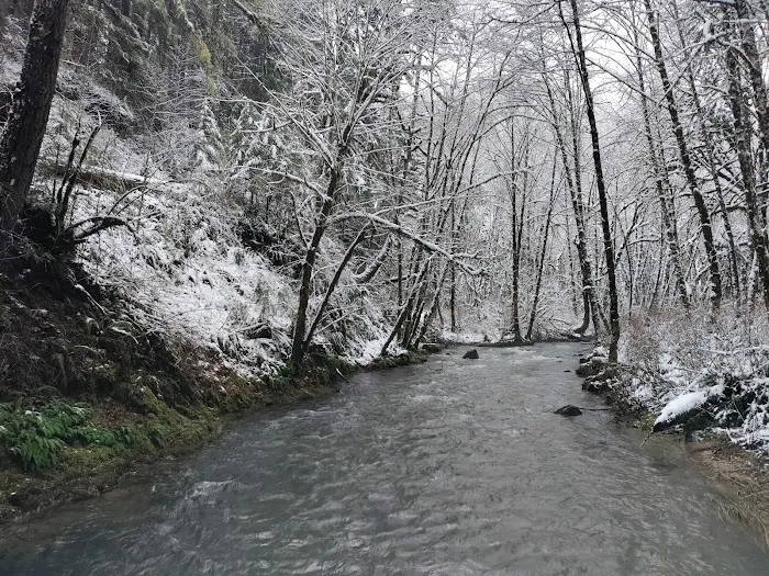 Hubert K McBee Memorial Campground Picture 6