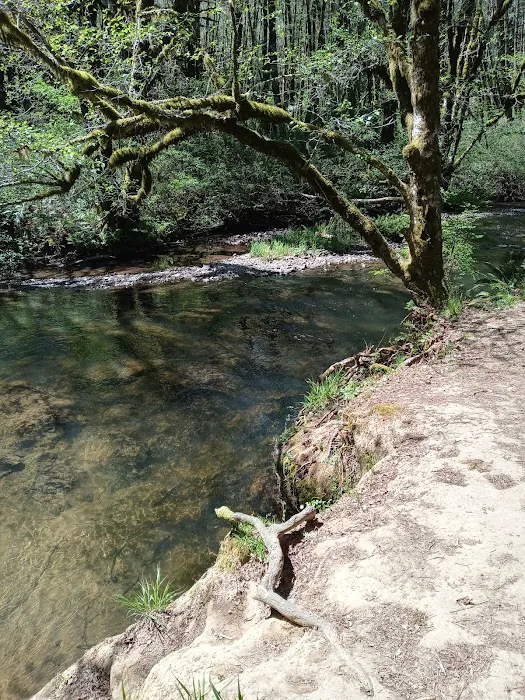 Hubert K McBee Memorial Campground Picture 5