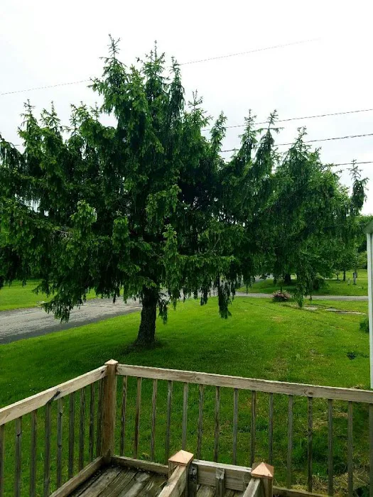 Scenic Mobile Home Park Picture 8