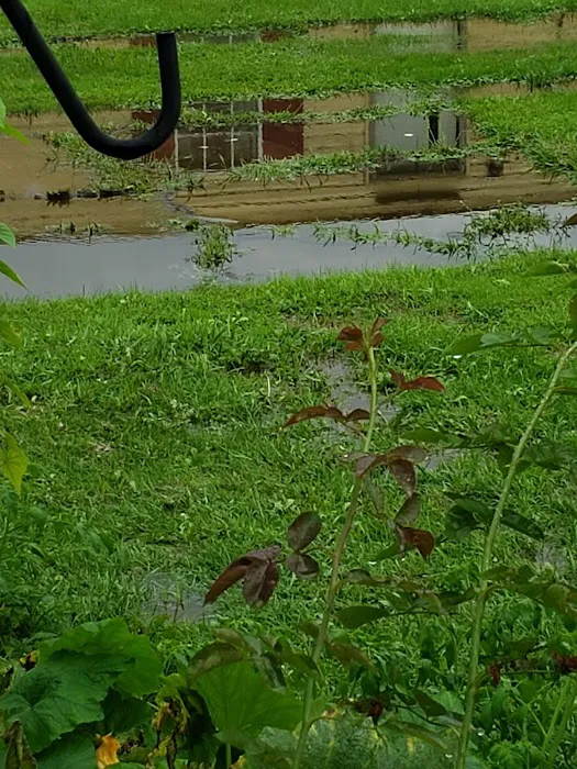 Scenic Mobile Home Park Picture 3