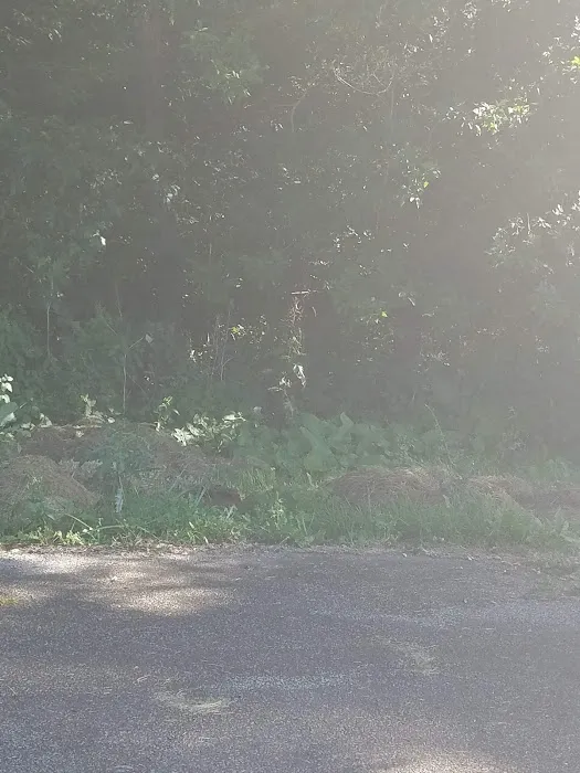 Scenic Mobile Home Park Picture 2