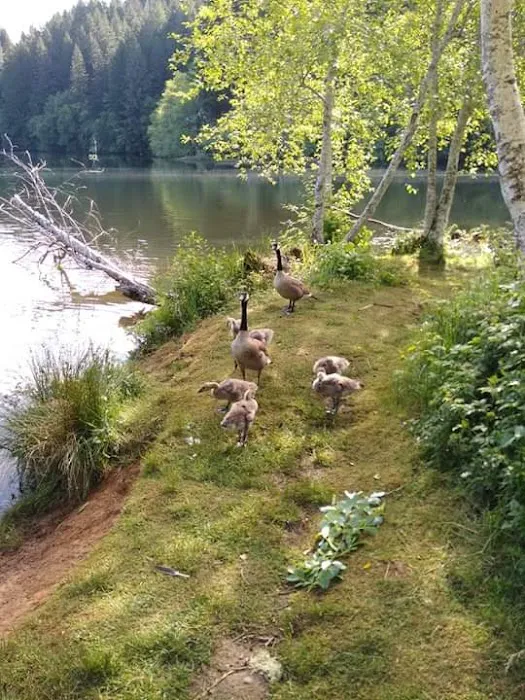 Upper Lake Creek Picture 2