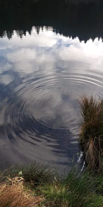 Upper Lake Creek Picture 7