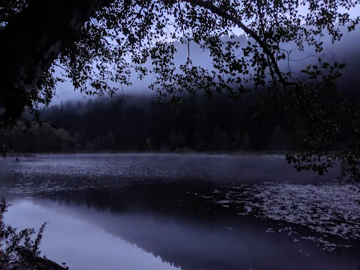 Upper Lake Creek Picture 3