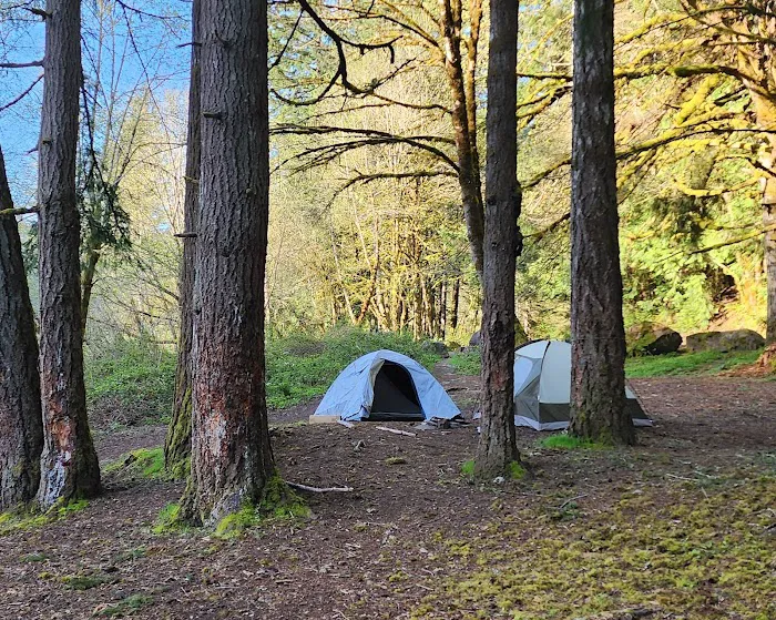 Upper Lake Creek Picture 9