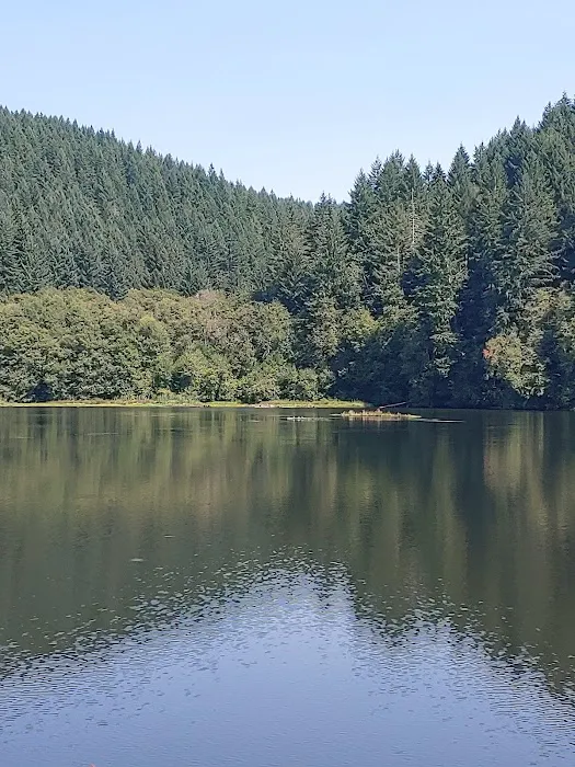 Upper Lake Creek Picture 6