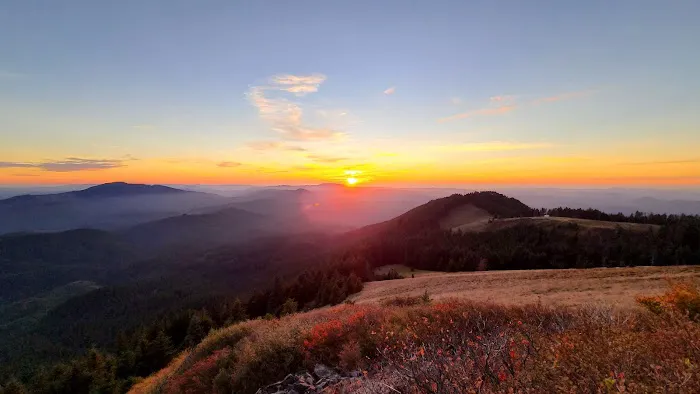 Marys Peak Campground Picture 1