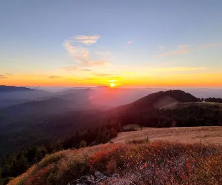 Marys Peak Campground