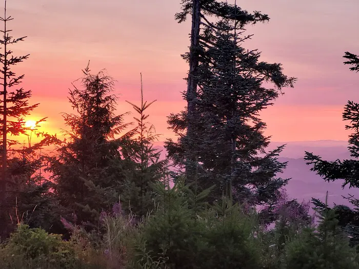 Marys Peak Campground Picture 4