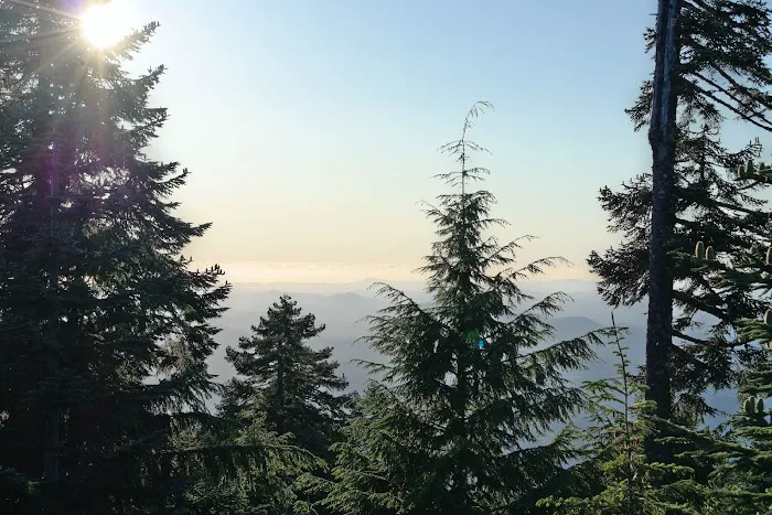 Marys Peak Campground Picture 7