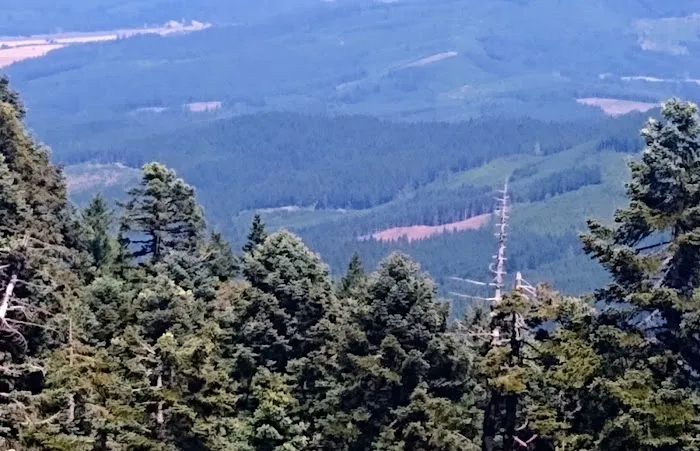 Marys Peak Campground Picture 5