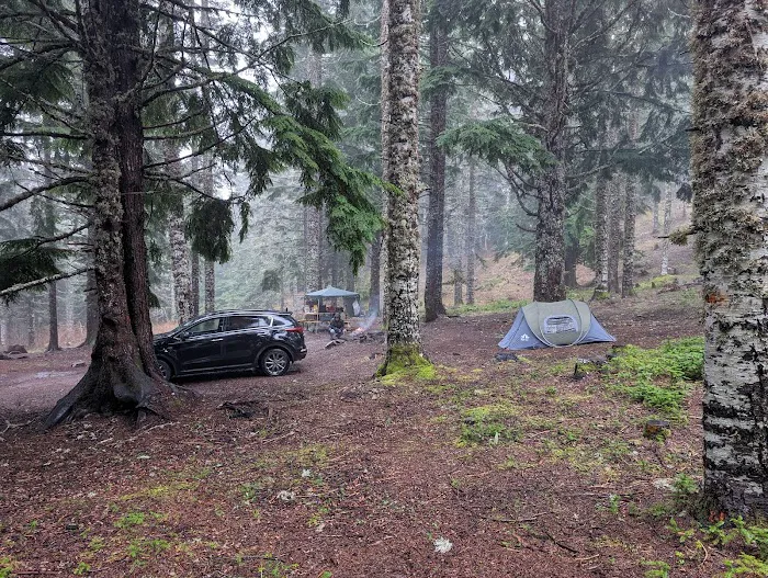 Marys Peak Campground Picture 6
