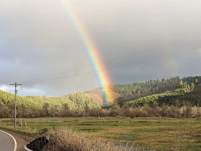 Triangle lake Picture 1