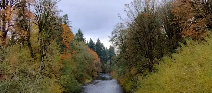 Salmonberry Park & Campground Picture 5