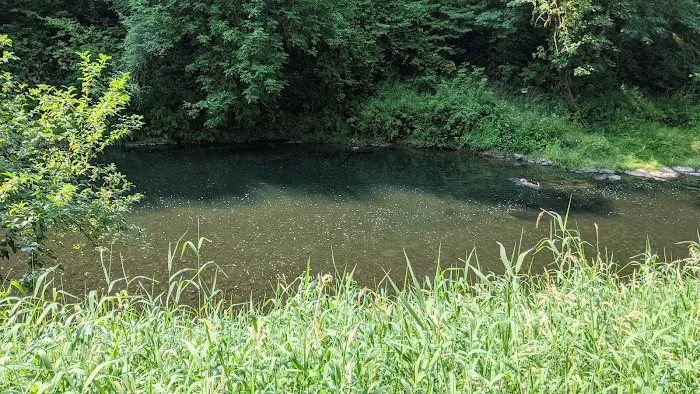 Salmonberry Park & Campground Picture 7