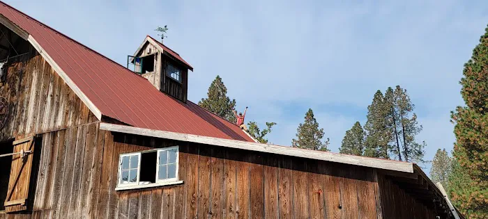 Darling Reunion Picture 3