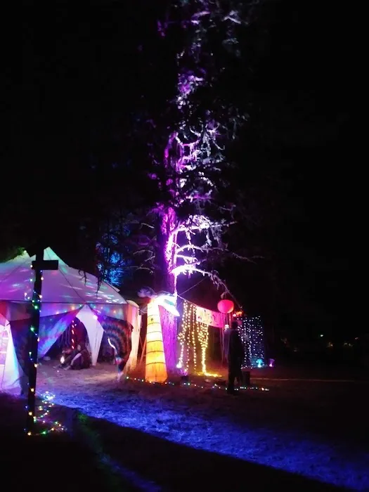 Darling Reunion Picture 9