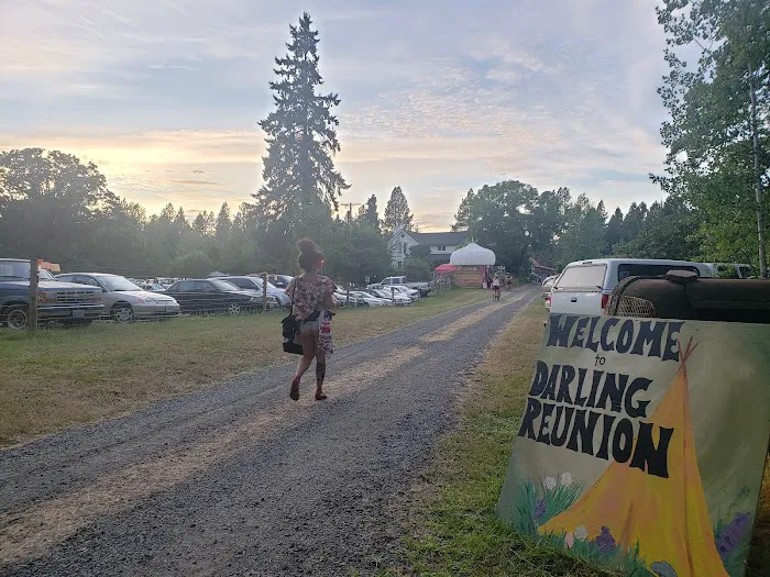 Darling Reunion Picture 7