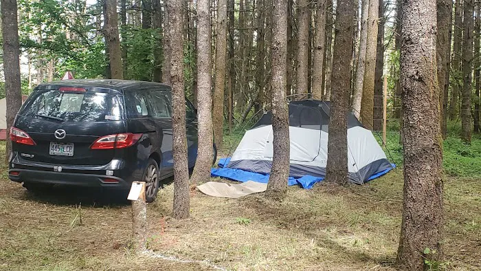 Carefree Farms Campground Picture 4