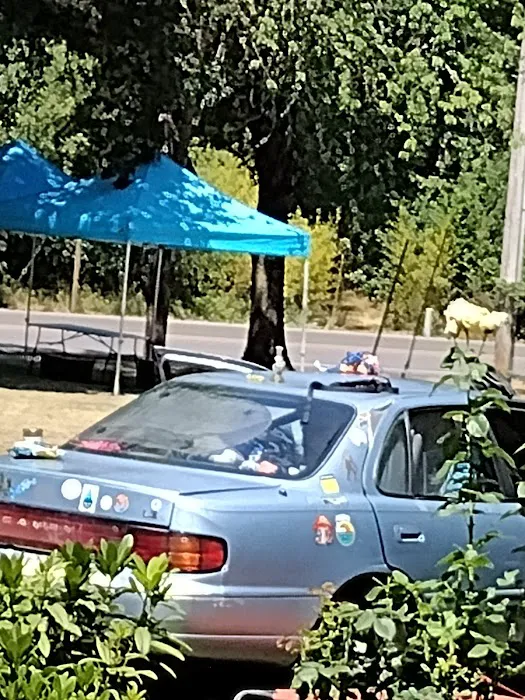 Jason's Campground Picture 2