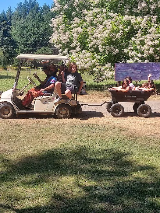 Big Oak Campground Picture 2