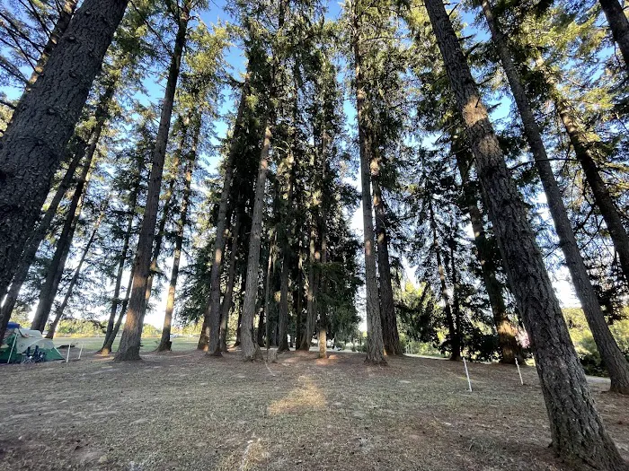 GnomeWood Campground Picture 8