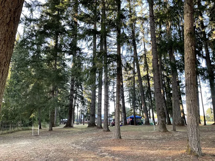 GnomeWood Campground Picture 10