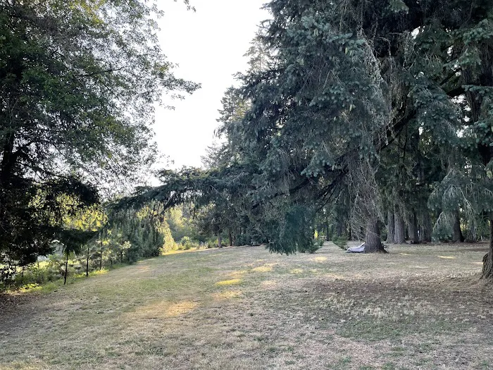 GnomeWood Campground Picture 7