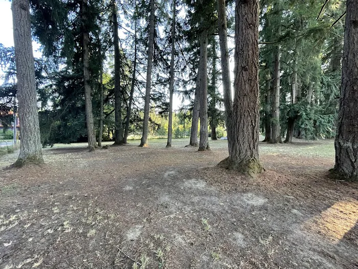 GnomeWood Campground Picture 3