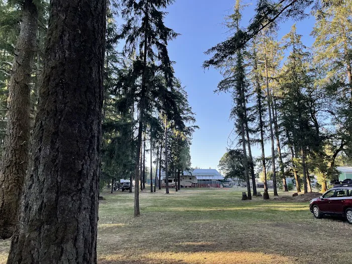 GnomeWood Campground Picture 9