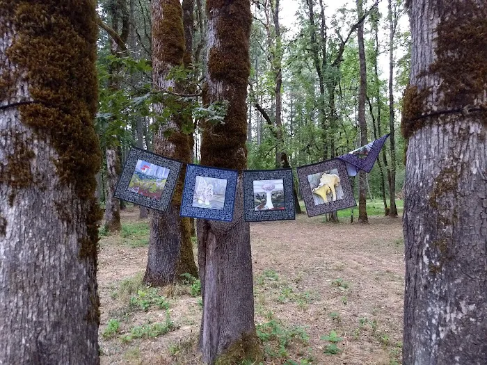 GnomeWood Campground Picture 6