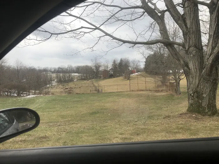 Oak Springs Mobile Home Park Picture 5