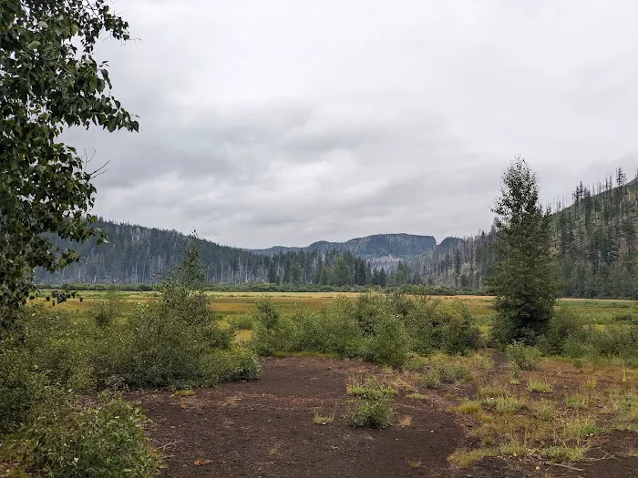 Lost Lake Campground Picture 4